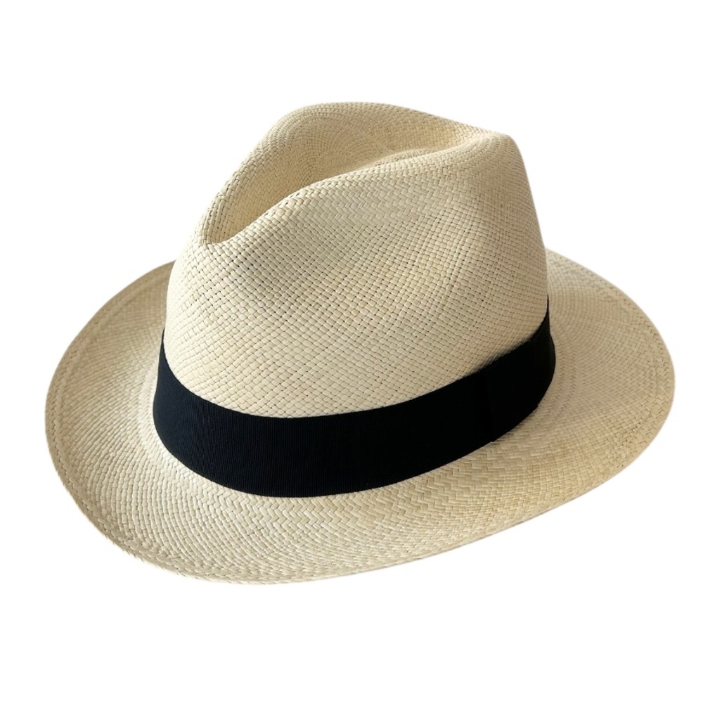 J. Crew Genuine Panama Hat